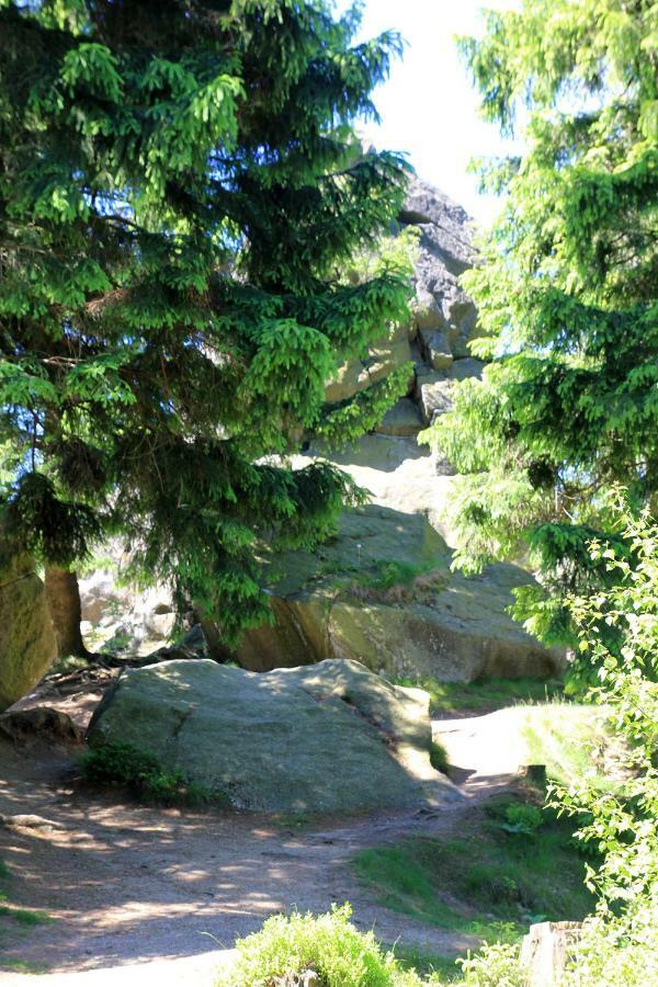 An Der Bremke Apartamento Herzberg am Harz Exterior foto