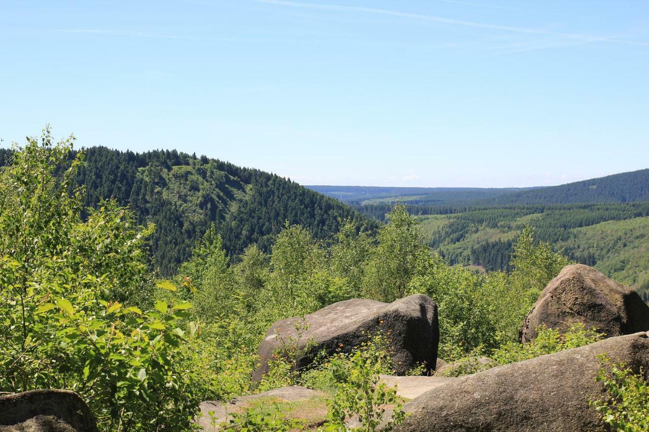 An Der Bremke Apartamento Herzberg am Harz Exterior foto